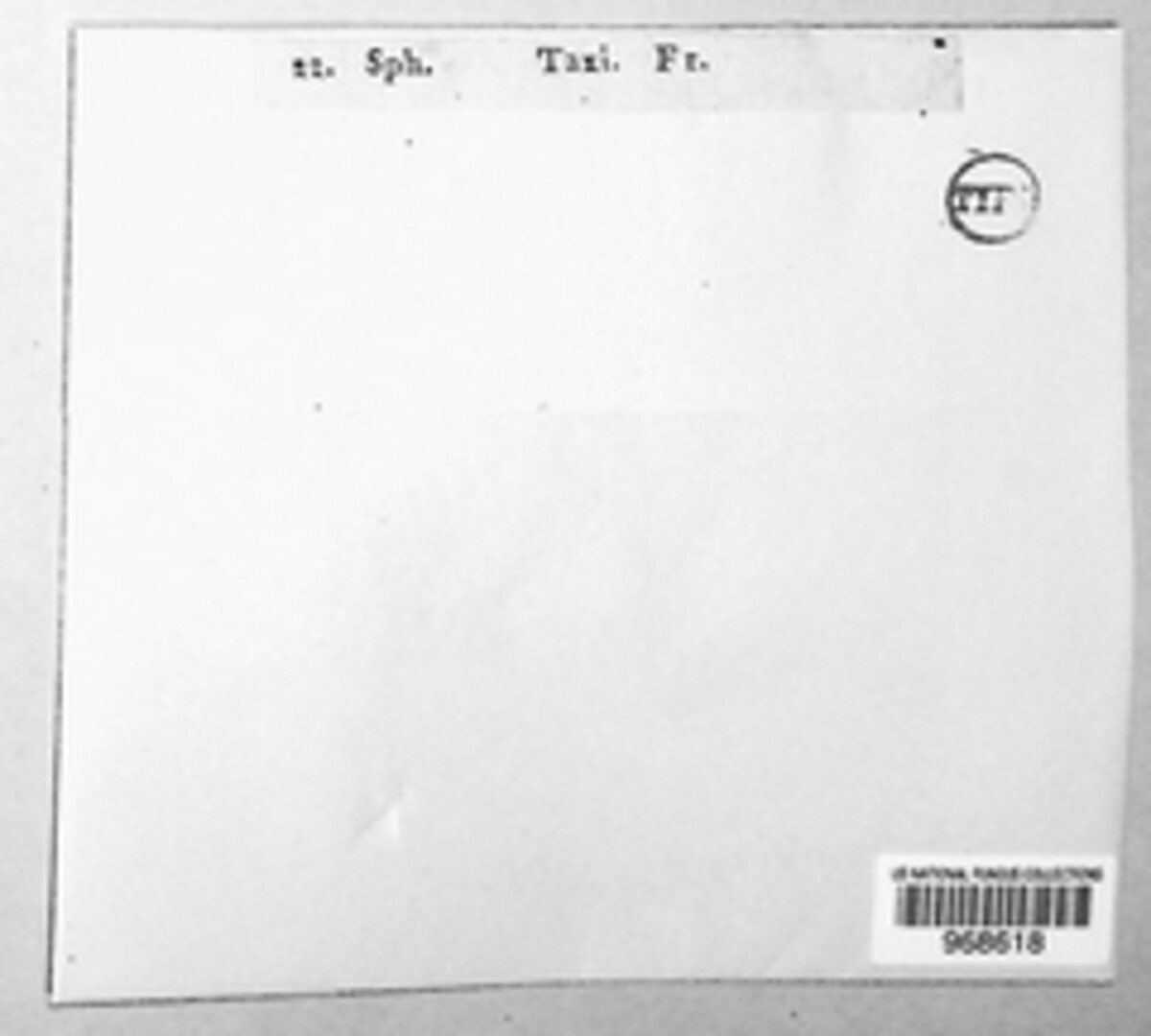 Phyllosticta concentrica image